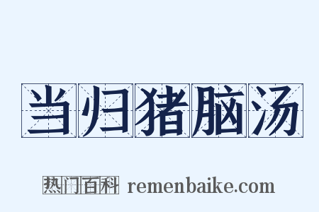 当归猪脑汤是什么意思的图片